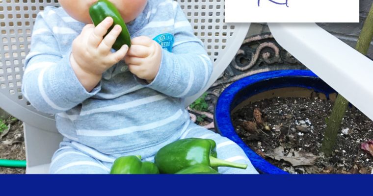 How to Boost Your Immune System – What the Science Says